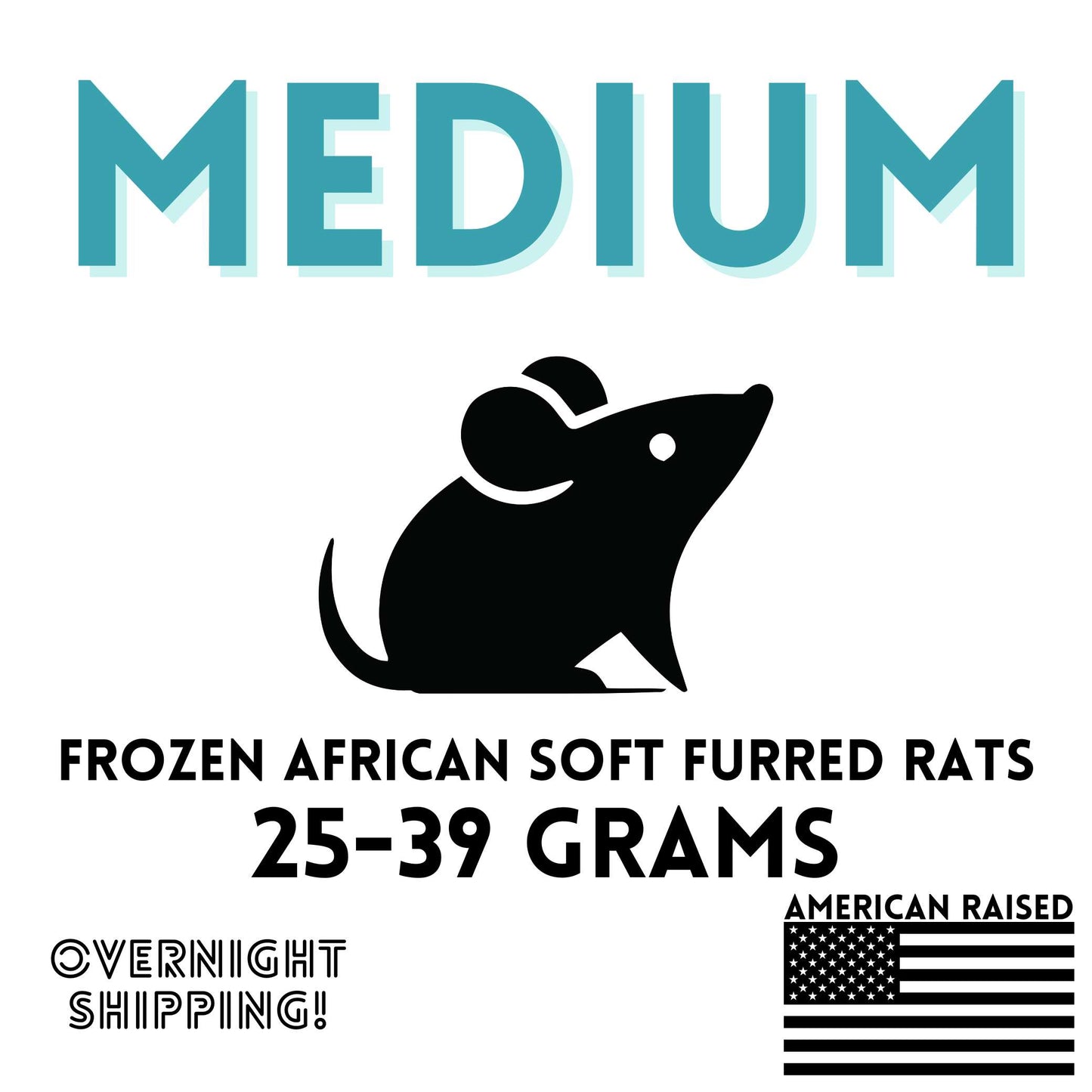 Frozen Medium African Soft Furred Rats | 10 Count
