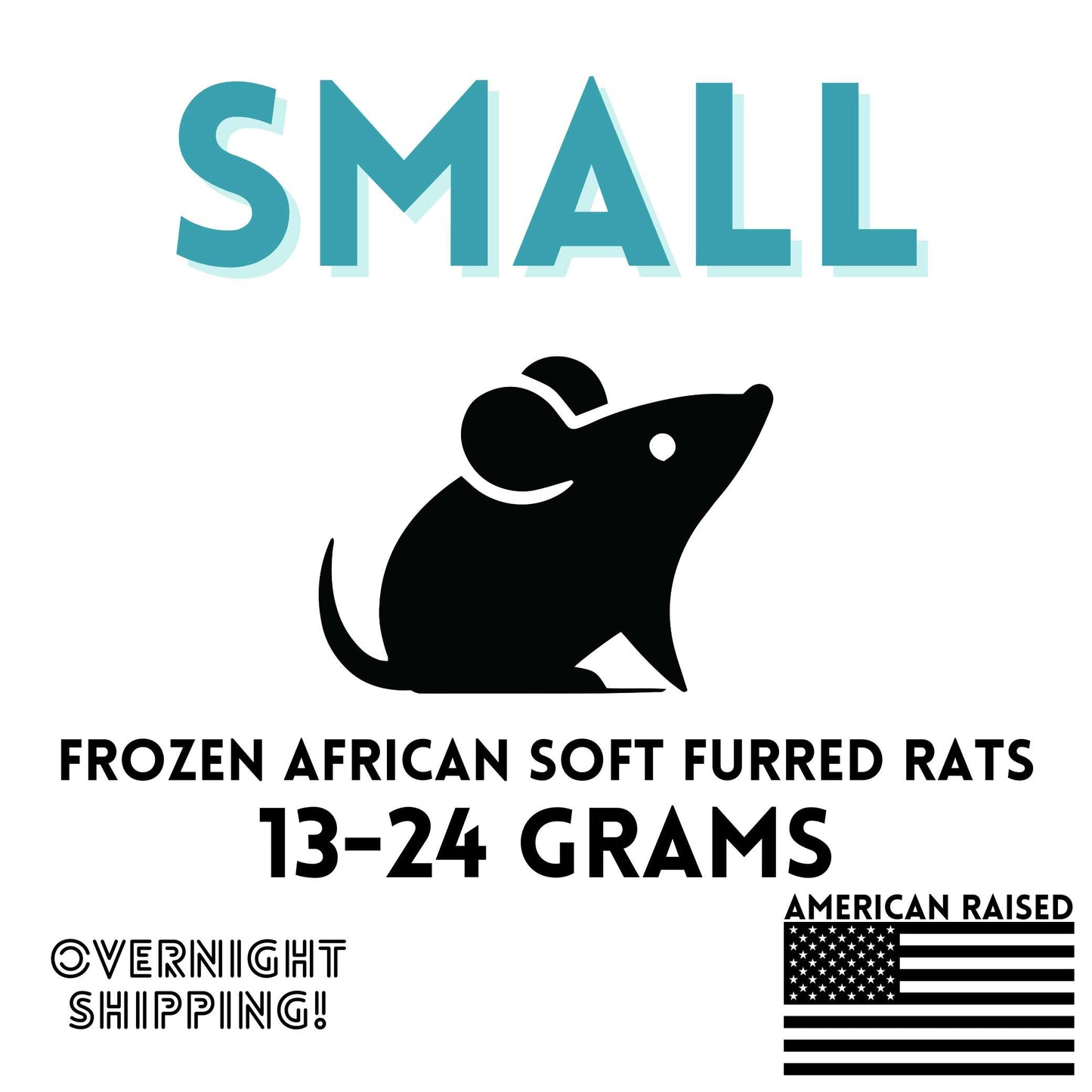 Frozen Small African Soft Furred Rats | 10 Count