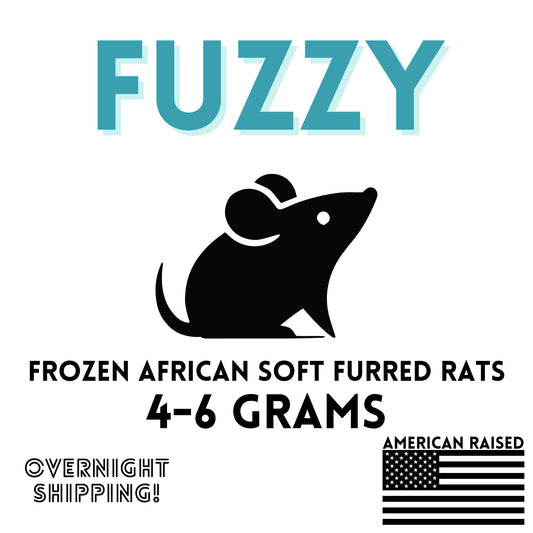 Frozen Fuzzy African Soft Furred Rats | 25 Count