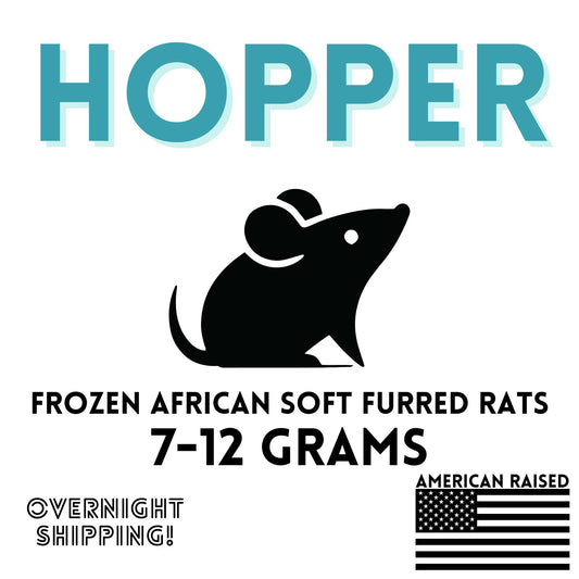 Frozen Hopper African Soft Furred Rats | 25 Count